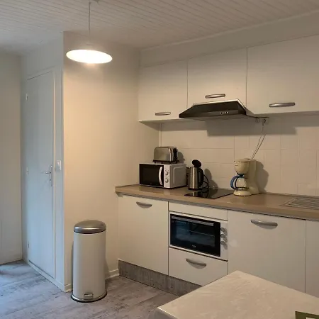 4 Personnes, 1 Chambre, Terrasse, Wifi, Proche Du Centre Appartement La Bourboule