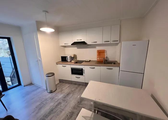 Apartamento 4 Personnes, 1 Chambre, Terrasse, Wifi, Proche Du Centre La Bourboule
