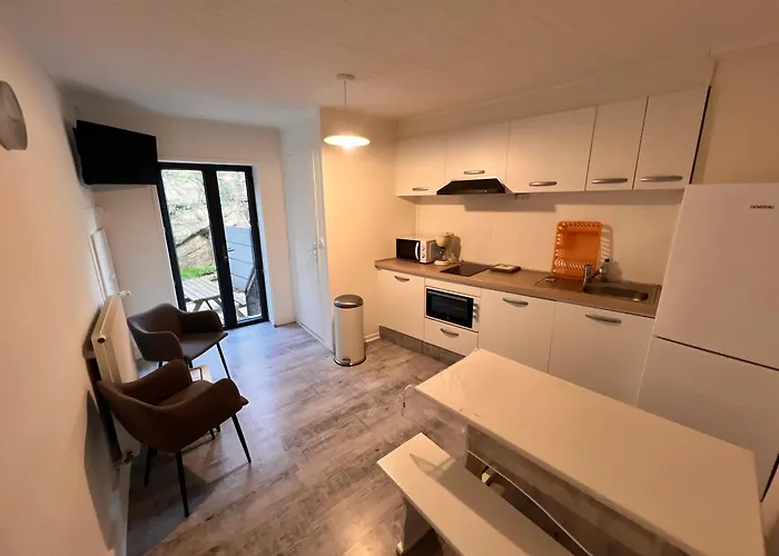 4 Personnes, 1 Chambre, Terrasse, Wifi, Proche Du Centre La Bourboule